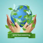 environment Day